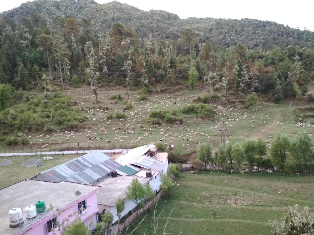 Bholenath Homestay Dalhousie Eksteriør bilde